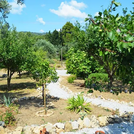 Kalokairi Semesterbostad Skopelos stad