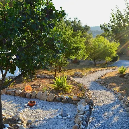Kalokairi Semesterbostad Skopelos stad