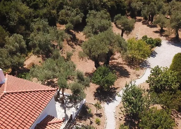 Kalokairi * Skopelos Town