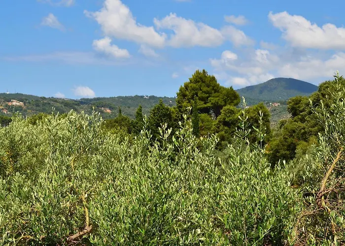 Kalokairi * Skopelos Town
